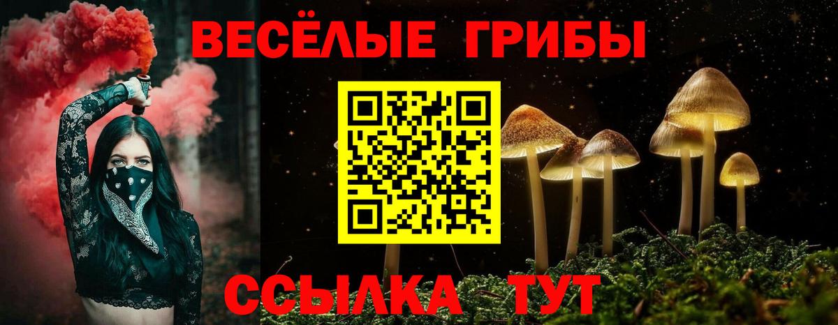 Галлюциногенные грибы MAGIC MUSHROOMS  Галлюциногенные грибы Psilocybe  Когалым  Вход с VPN 